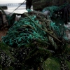 Gifts of Time and Sea