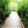 gardenpath