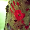 hand
