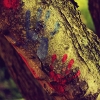 hand2