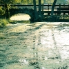 reflect