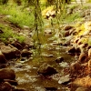 water