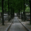 Path