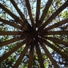 Center