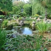 Japanese-Inspired Garden