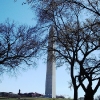 Washington DC