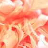 feather3