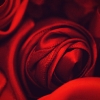 roseweave3