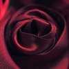 roseweave4